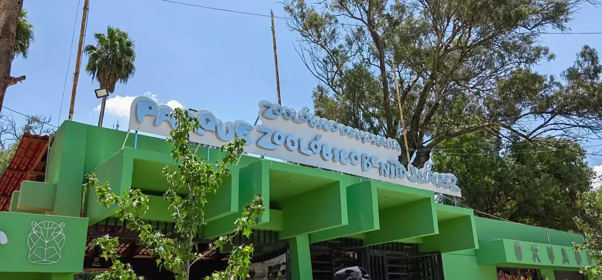 Zoo Morelia: retoma análisis para reactivar recorridos nocturnos