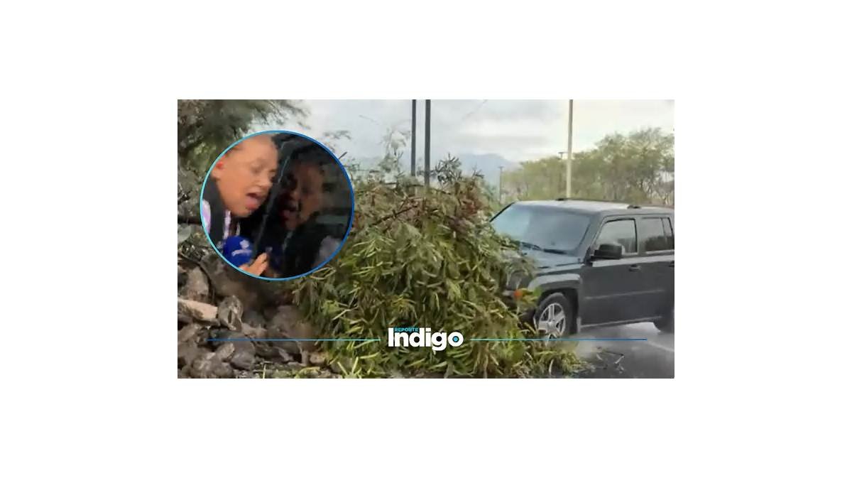 ¿Cómo sigue Alma Mireya de la Rosa? Reportera está estable tras atropello en Monterrey