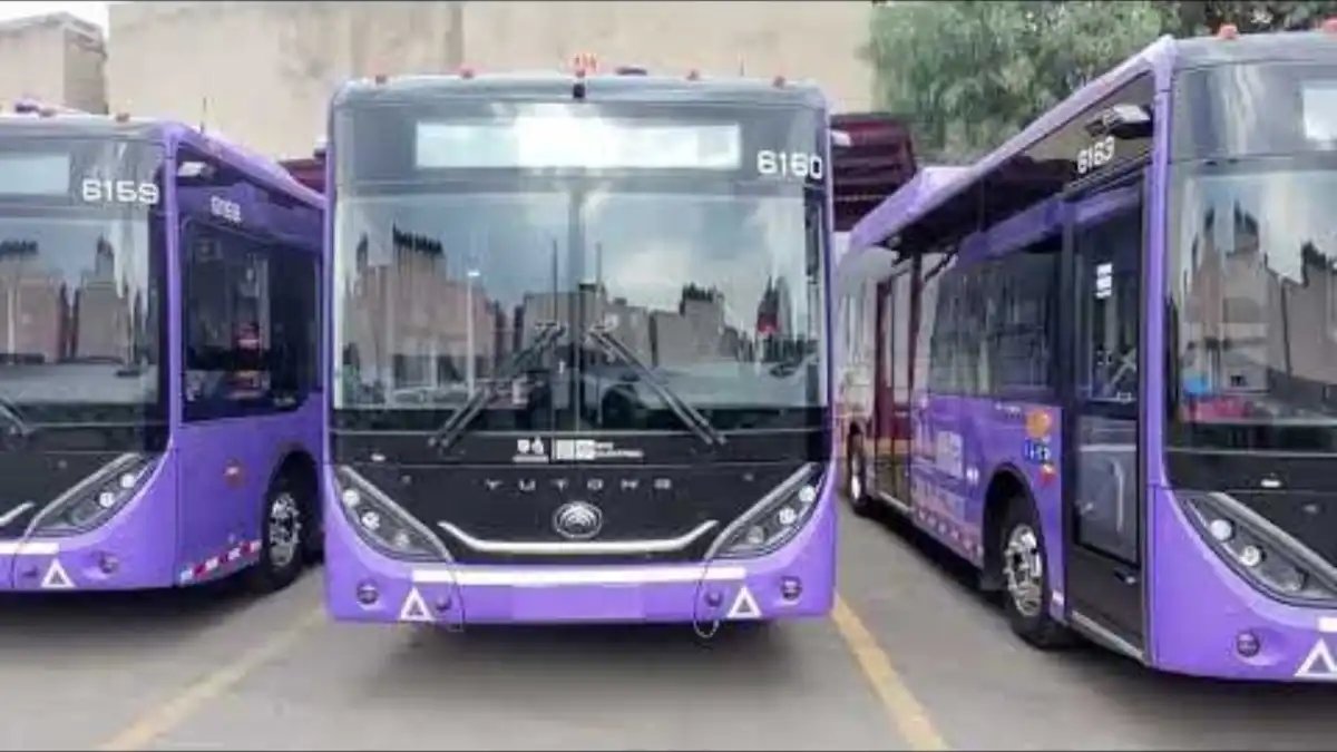 Gran Premio de la CDMX 2026: Conoce las rutas, horarios y costos del transporte especial