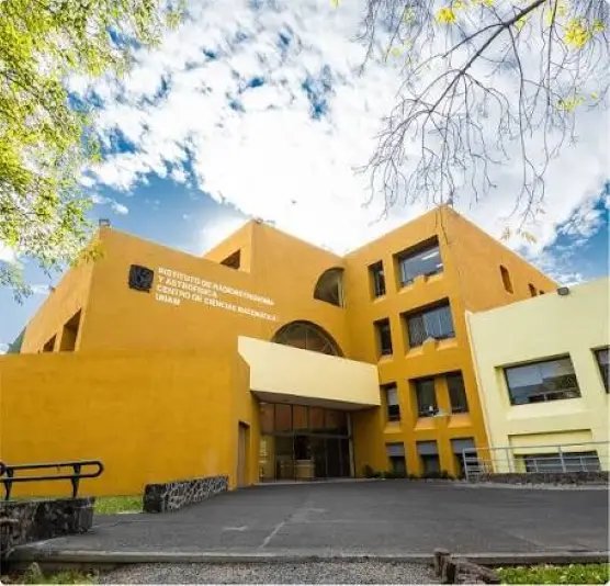 Segunda Escuela Michoacana de Biología Matemática del 30 de noviembre al 5 de diciembre en Morelia