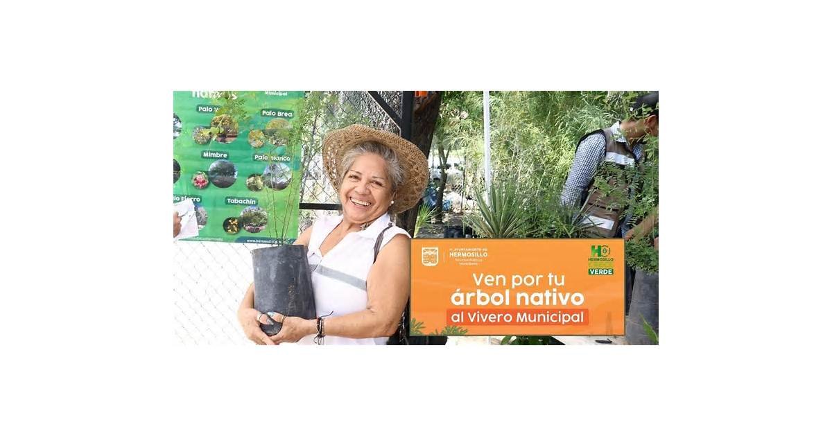 Hermosillo regalará árboles este sábado 17 de octubre en el Vivero Municipal: conoce el horario, las especies y cómo registrarte