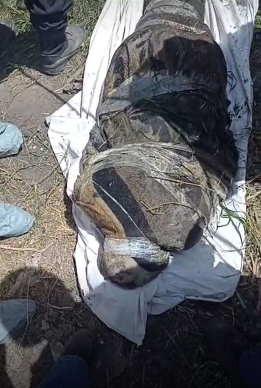 HALLAN CUERPO EMPAQUETADO EN LA LAGUNA DE CHICONAUTLA...👇