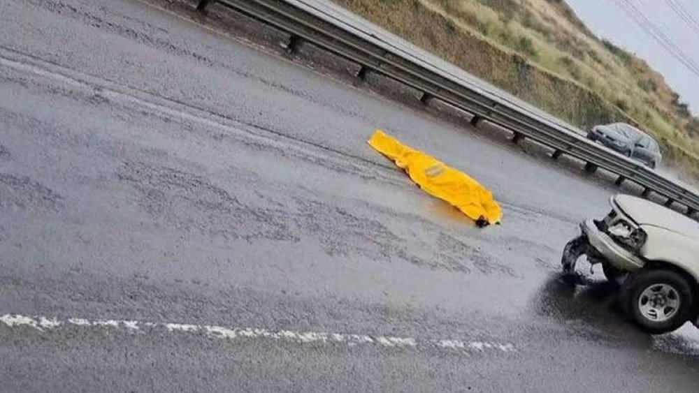 Muere trabajador arrollado por un vehículo en la carretera Irapuato-Guanajuato