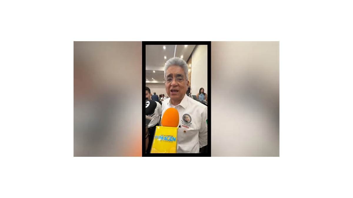 Asipona alista mantenimiento del muelle turístico de Veracruz para recibir cruceros en 2028