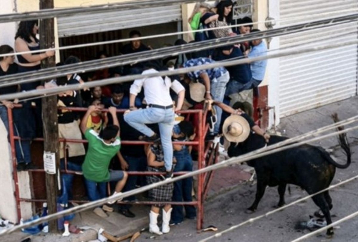 Muere hombre de 53 años tras ser corneado por un toro durante la Tarimorada en Guanajuato