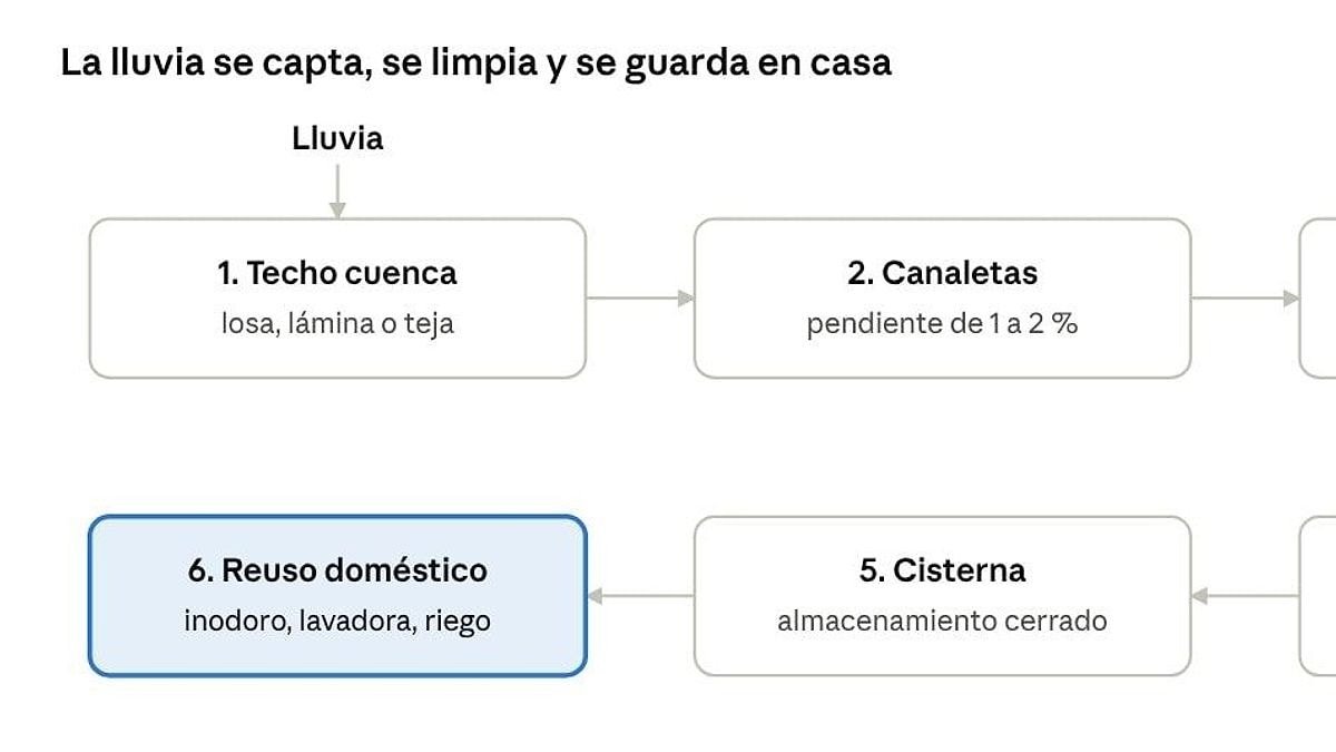 Techos cuenca: captar lluvia para reducir el estrés hídrico y las inundaciones en San Luis Potosí