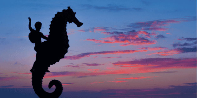 Puerto Vallarta supera a Florencia y San Miguel de Allende como la mejor ciudad pequeña del mundo, según Condé Nast Traveler