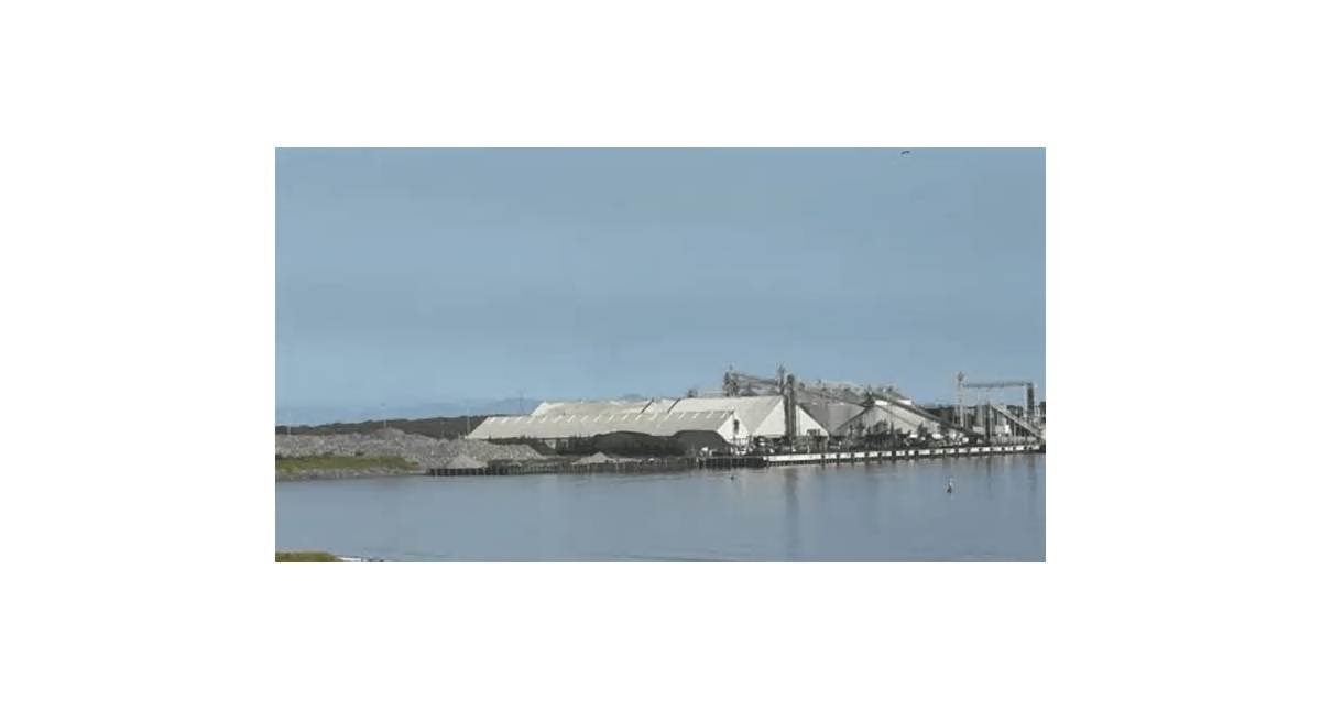 Denuncian ecocidio en arrecife por ampliación del puerto de Veracruz