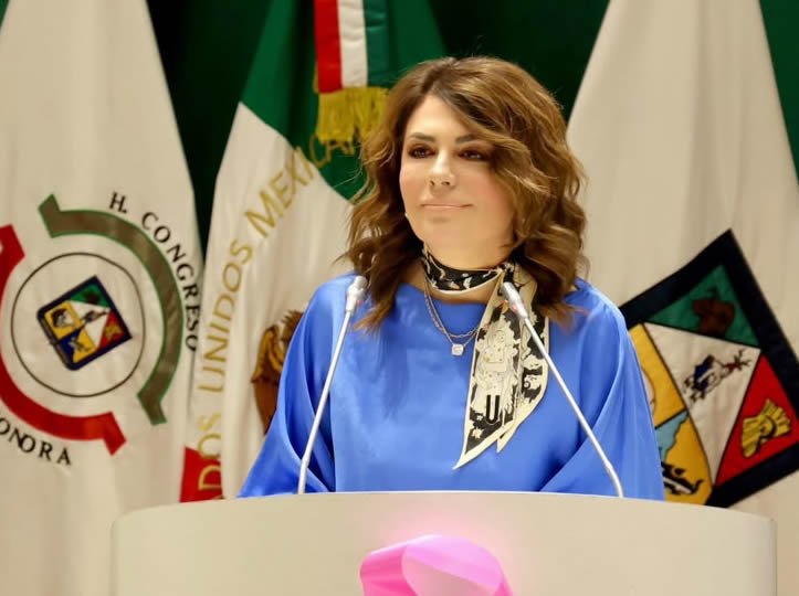 Propone diputada programa de atención domiciliaria para adultos mayores en Sonora