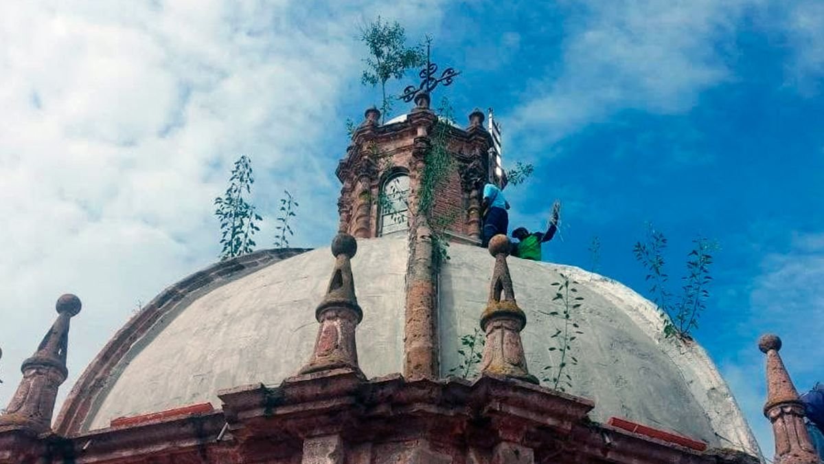 ¡Hasta en las alturas! Retiran plantas que crecían en cúpulas del Templo de las Monjas en Morelia