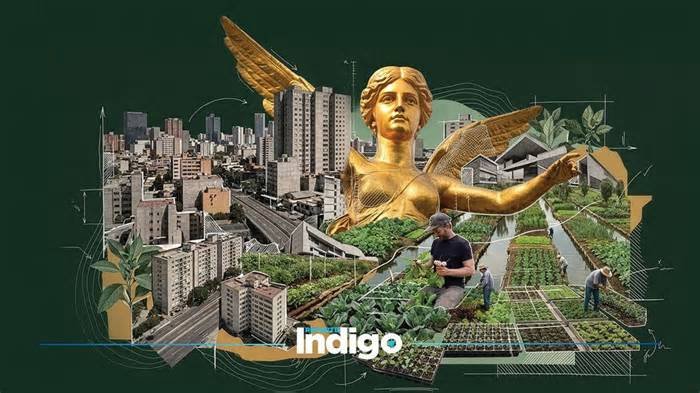 Huertos urbanos en CDMX: ¿pueden azoteas y periferia alimentar a la capital?