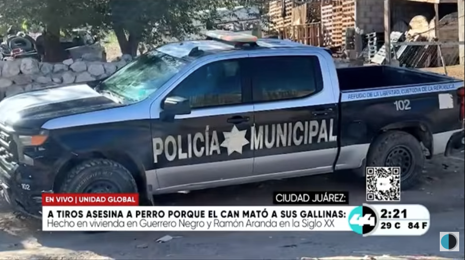 Hombre m.a.t.a a perro con rifle calibre .22 en la colonia Siglo XXI de Ciudad Juárez