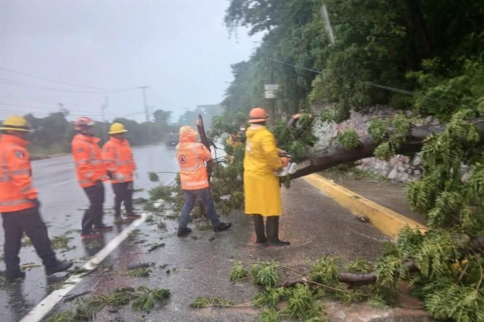 Reactivado 100% de servicio eléctrico en Acapulco, dice CFE