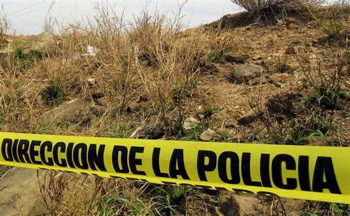 Campesinos hallan cuerpos de tres personas en zona agrícola de León, Guanajuato; presentan huellas de violencia