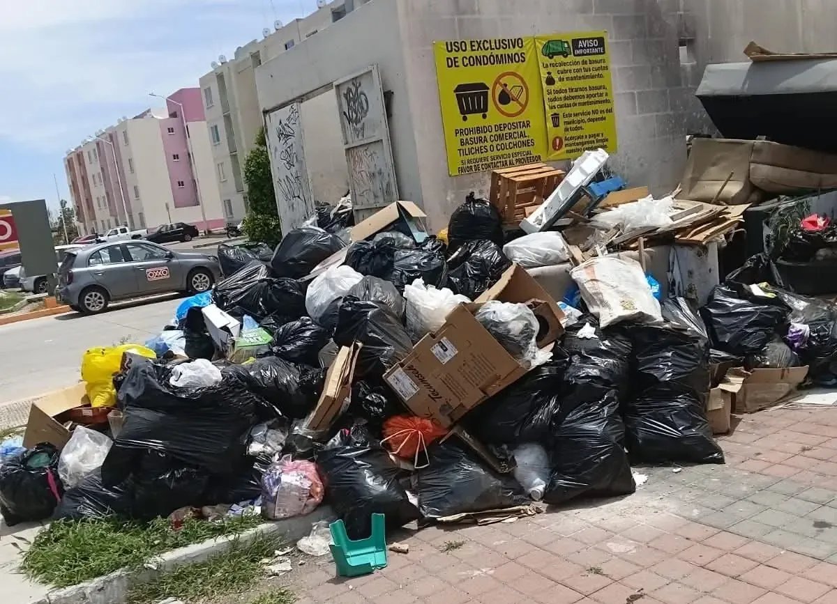 Alta demanda en lechería de El Rehilete; tramitan nueva en Sarabia