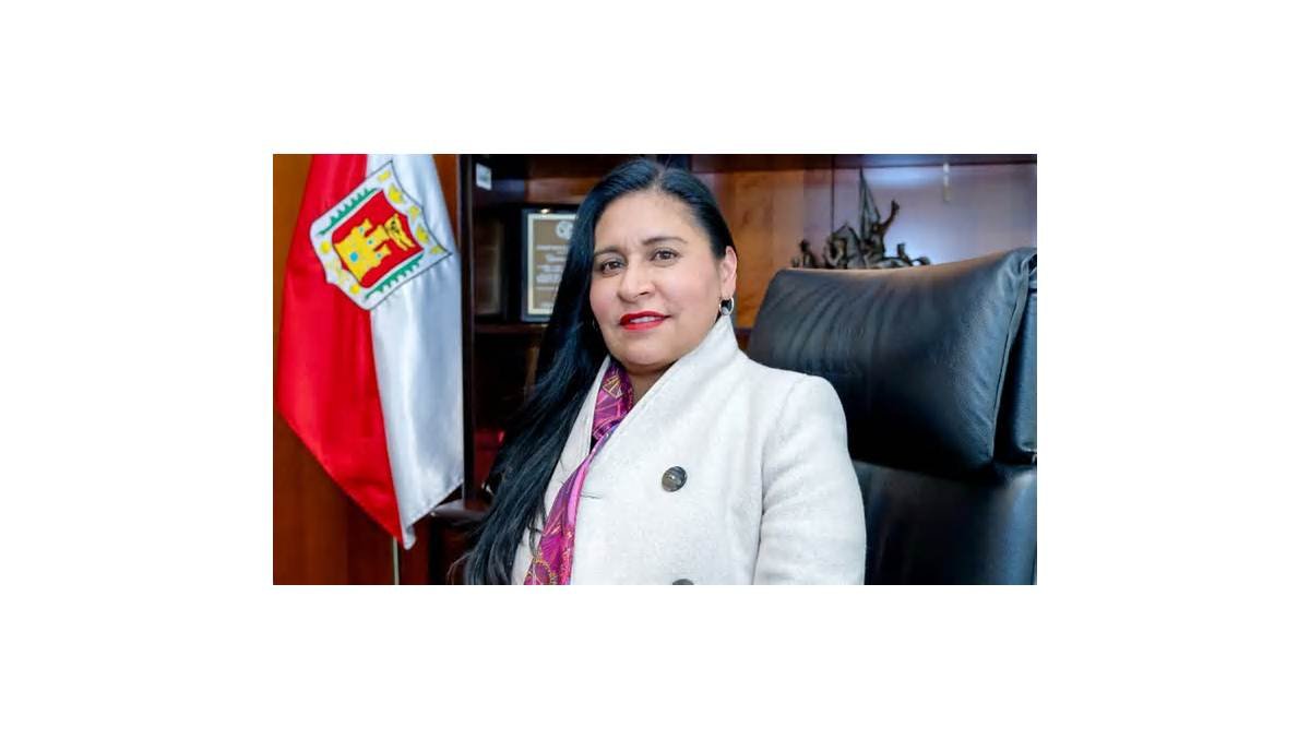 ¿Qué estudió Ana Lilia Rivera, elegida como coordinadora en defensa de la 4T en Tlaxcala?